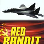 Red Bandit the Mig 29 in Combat