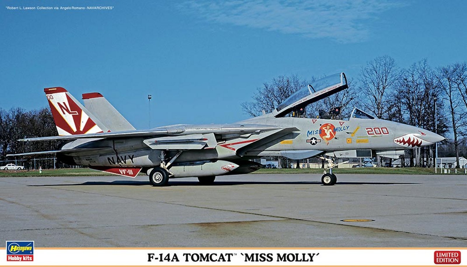 F-14A Tomcat, VF-111 Sundowners, 