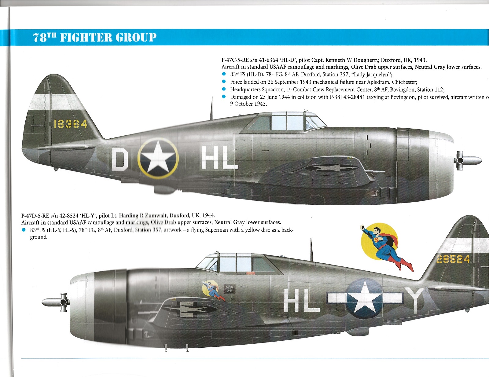 22+ P-47 Razorback Paint Schemes
