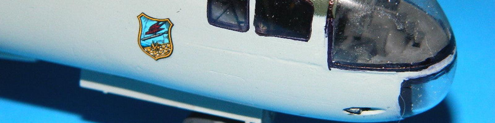 Nose detail