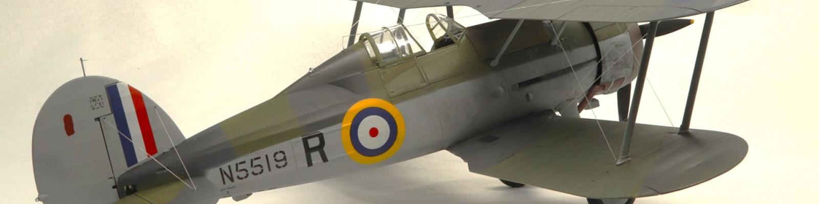 Gladiator - Right Side View