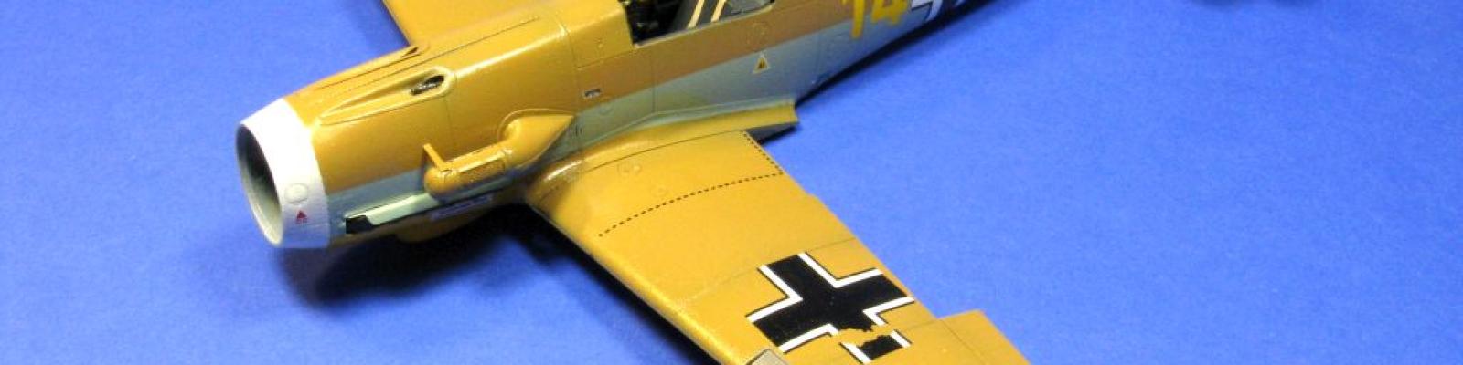 Painted wing & fuselage