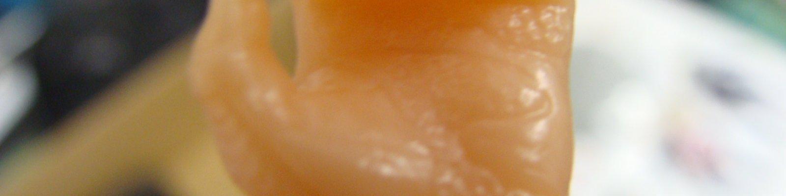 Hand  Detail 2