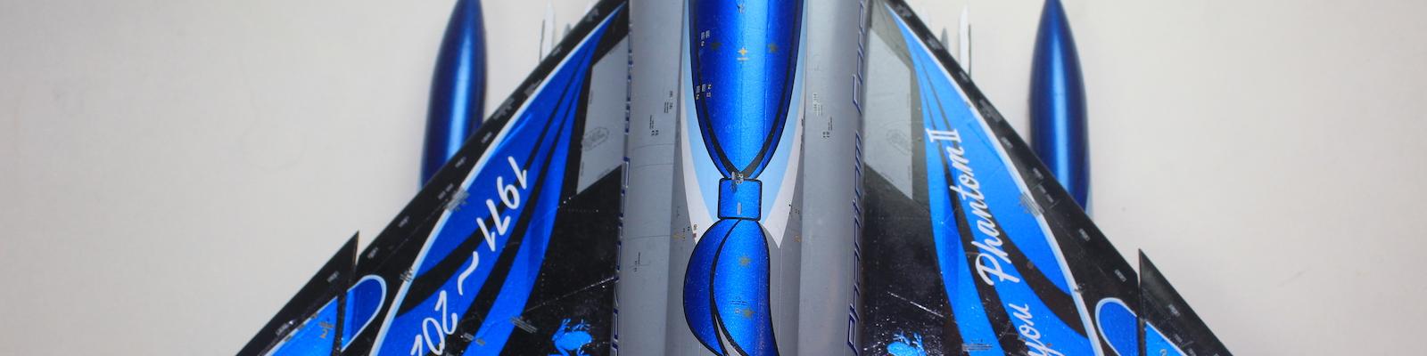 Wing top view