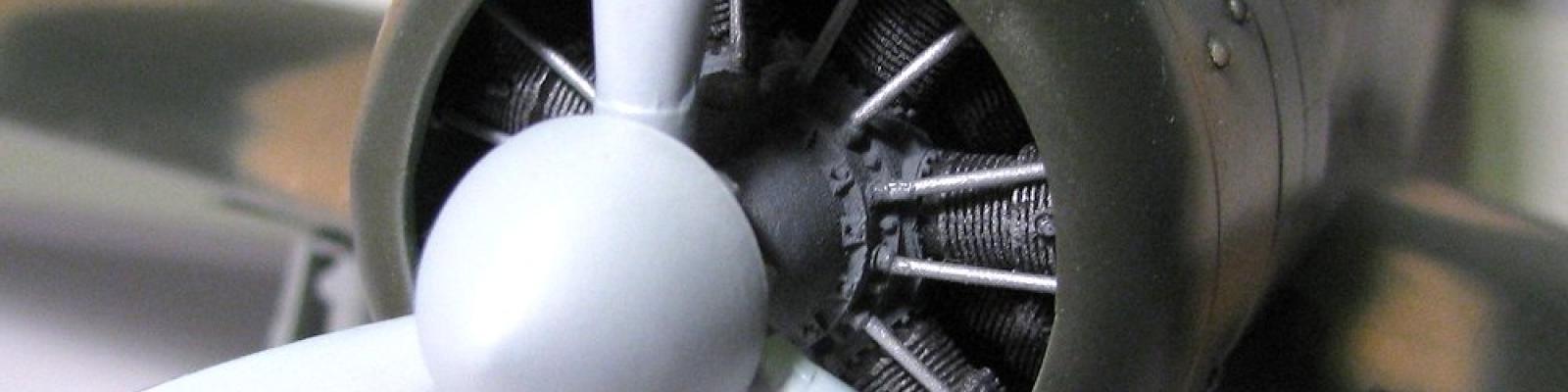 Nose detail