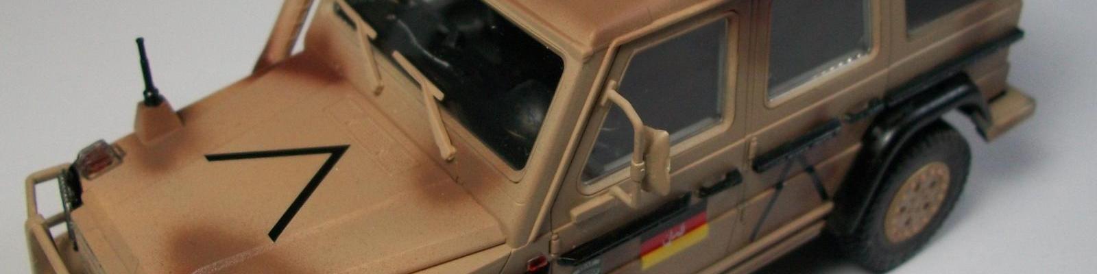 decals and windows