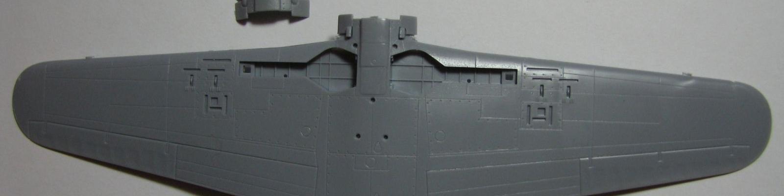 Wing detail