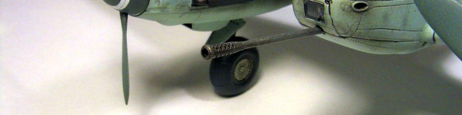 Nose and cowling detail