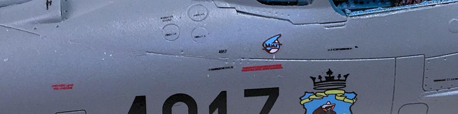Nose Art