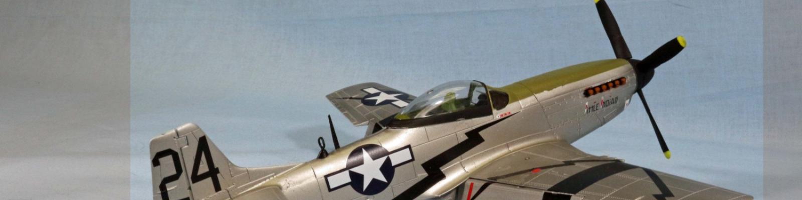 Finished Mustang 9