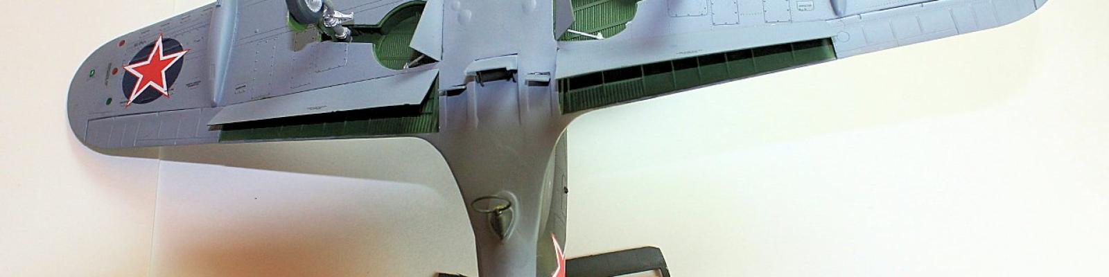 Underside Markings