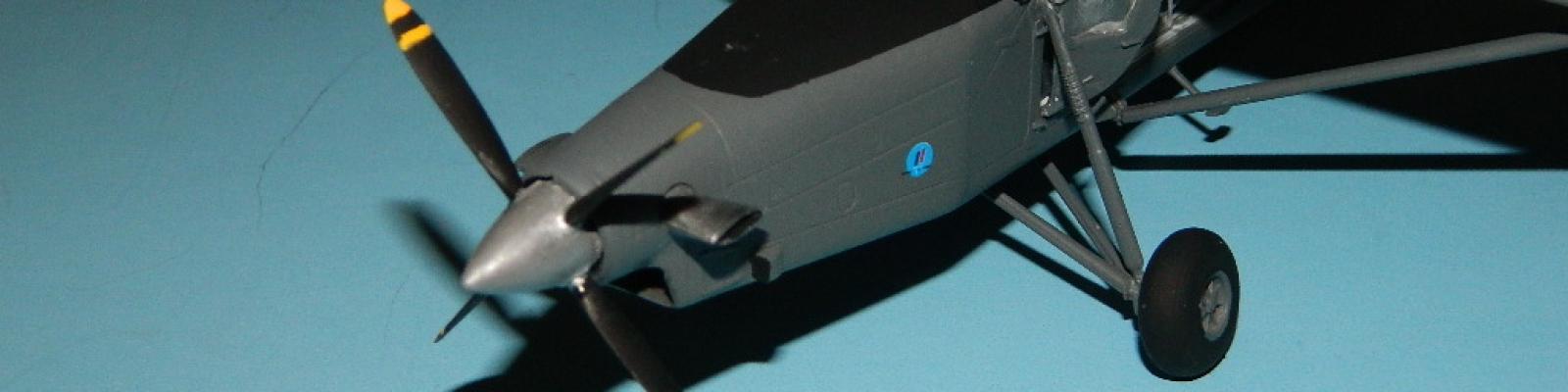 Nose detail