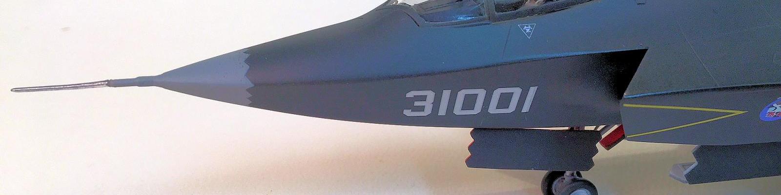 Nose with New Pitot Tube