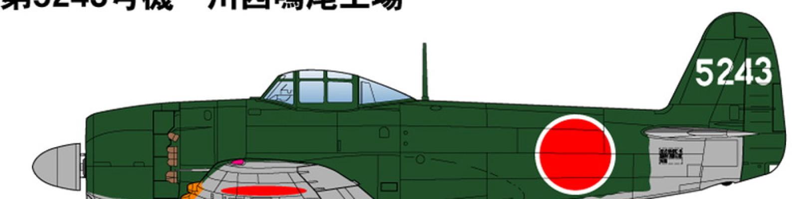Color Scheme 5