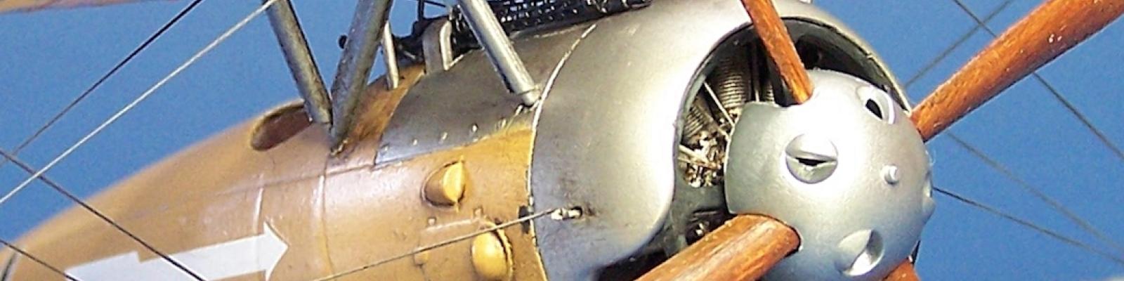 Close-up forward detail