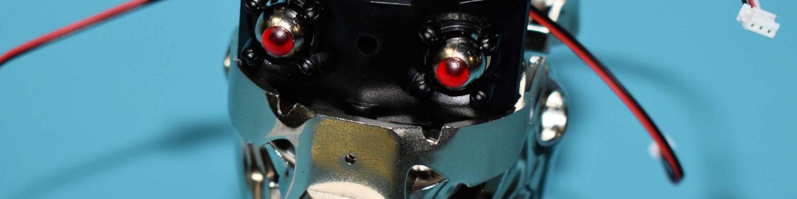 Front Head Detail