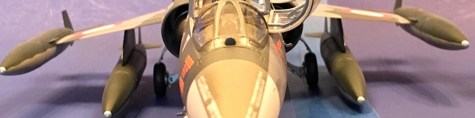 Nose view