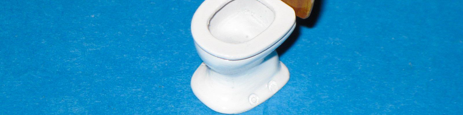 Finished Toilet