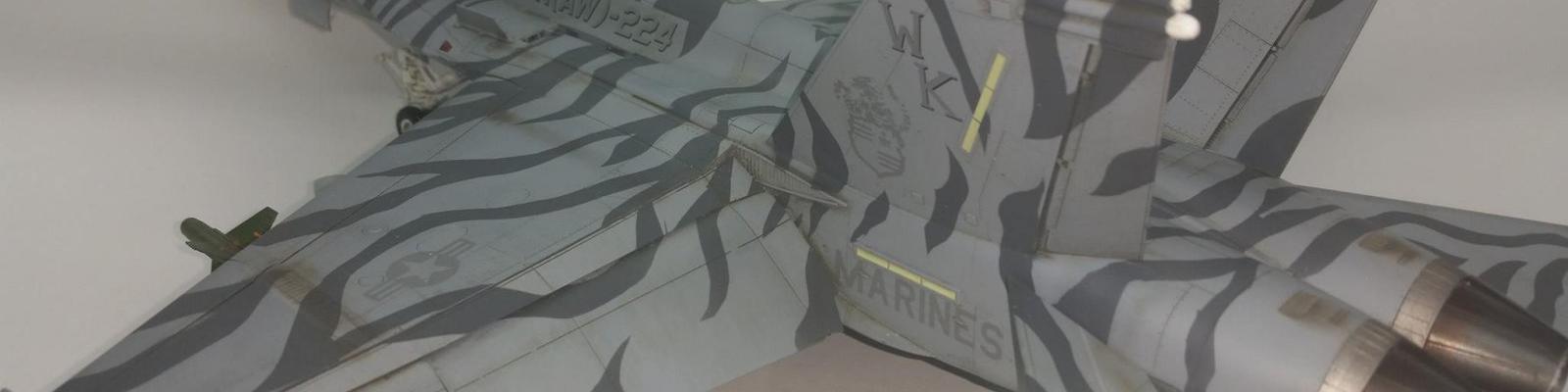 Vertical Stabs & Fuselage Top