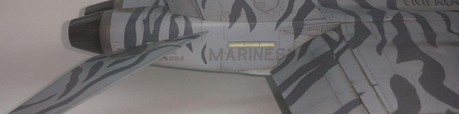 Tail Markings