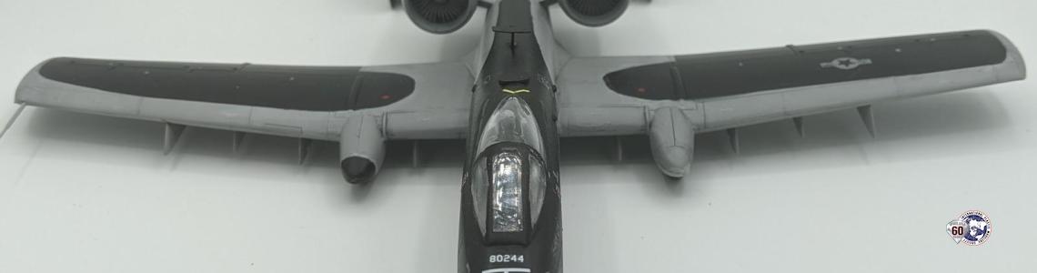 Misc Image 7