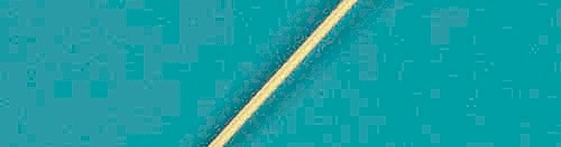 Resin casting of early probe