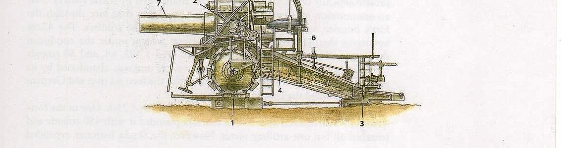 Color Illustration Sample