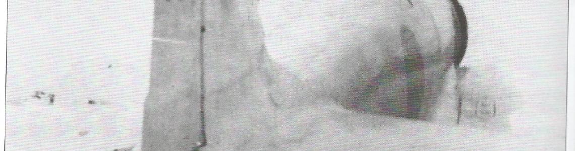 Early Production Model