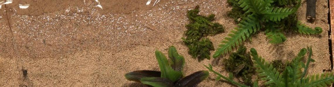 Sample still from DVD