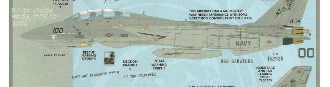 Tomcat Camo & Markings 1