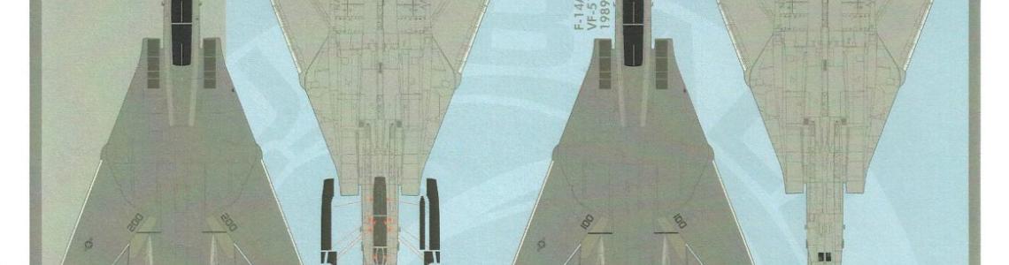 Tomcat Camo & Markings 3