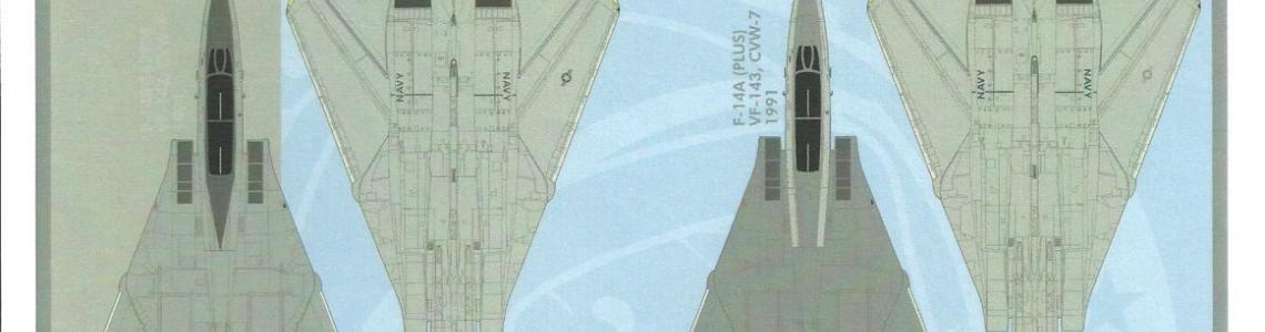 Tomcat Camo & Markings 4