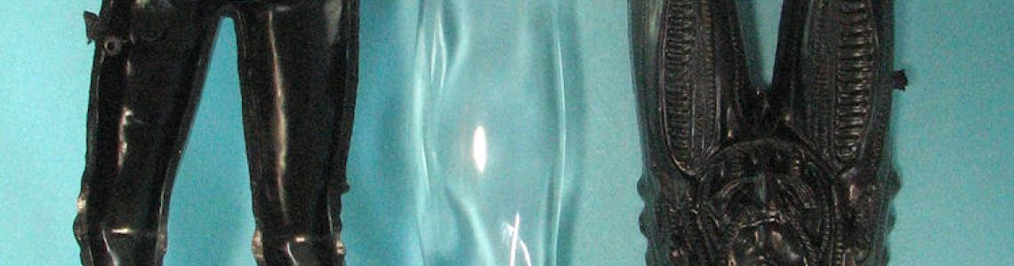 Clear skull and body 1