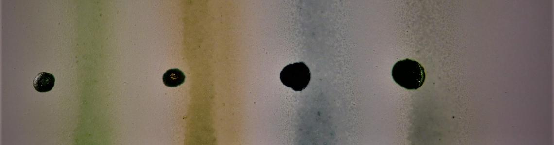 Shader Test on White Paint 