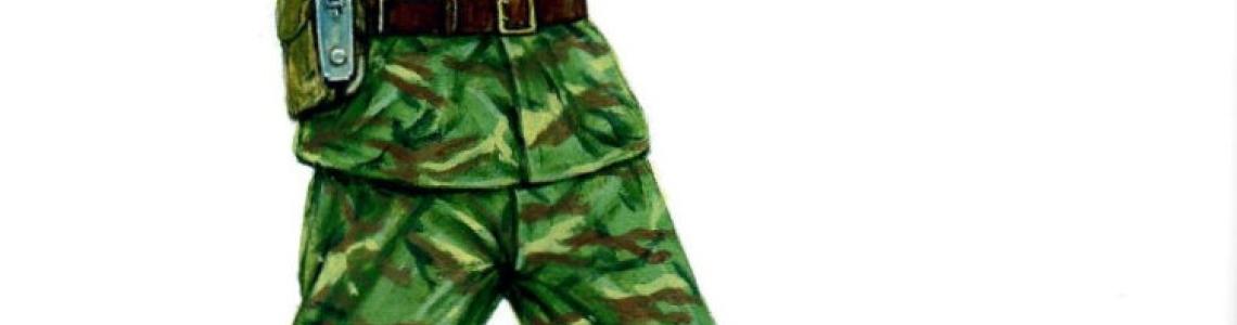 Armed Forces of North Korea pg 30