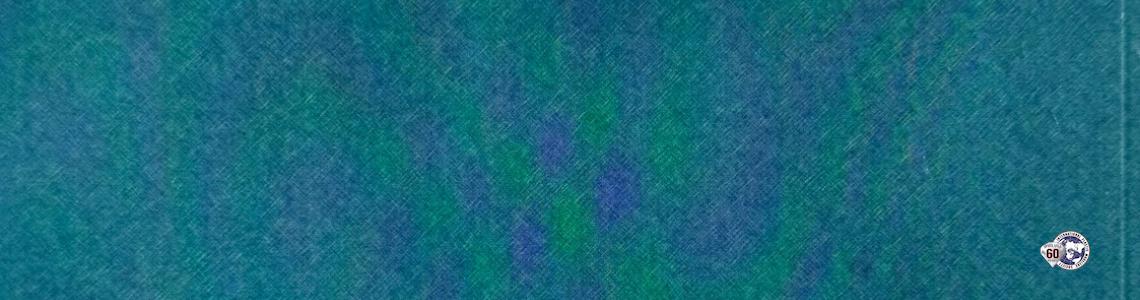 Austro-Italian Naval War rear cover