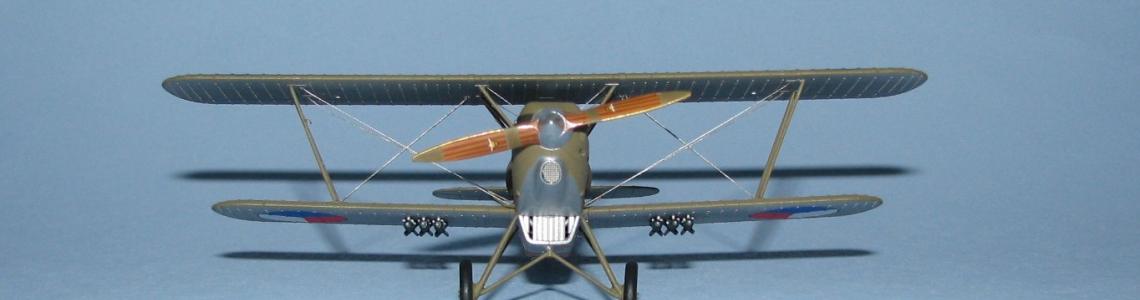 Head-on, ground view