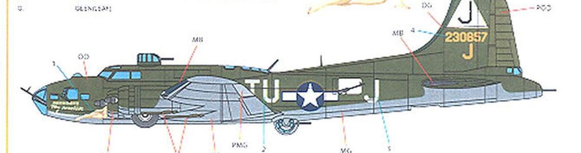 Placement instructions - back