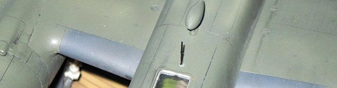 Wing detail