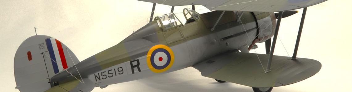 Gladiator - Right Side View