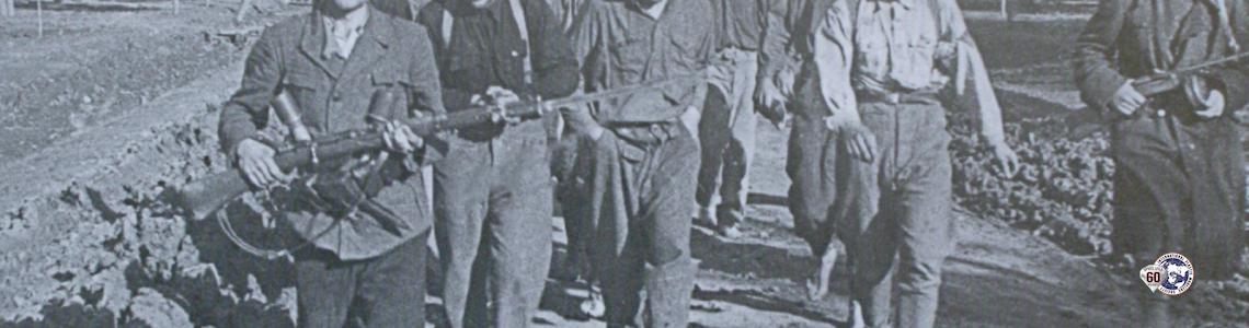 Misc Image 8