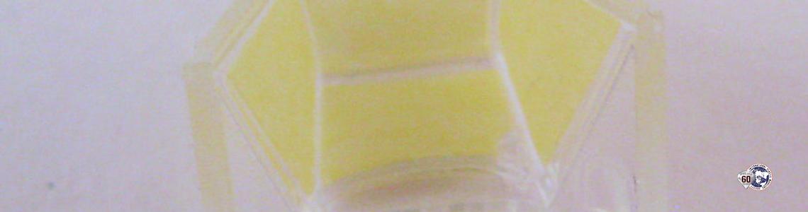 Forward Canopy Inside Masks 1