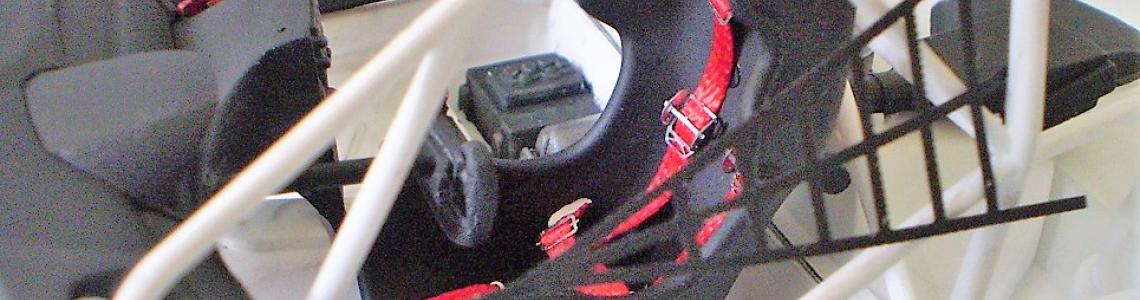 Roll Cage with Safety Webbing