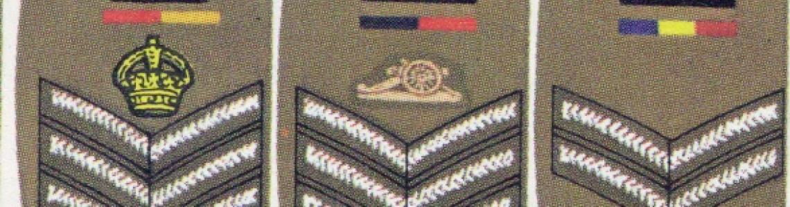 Sergeant's and Corporal's sleeves
