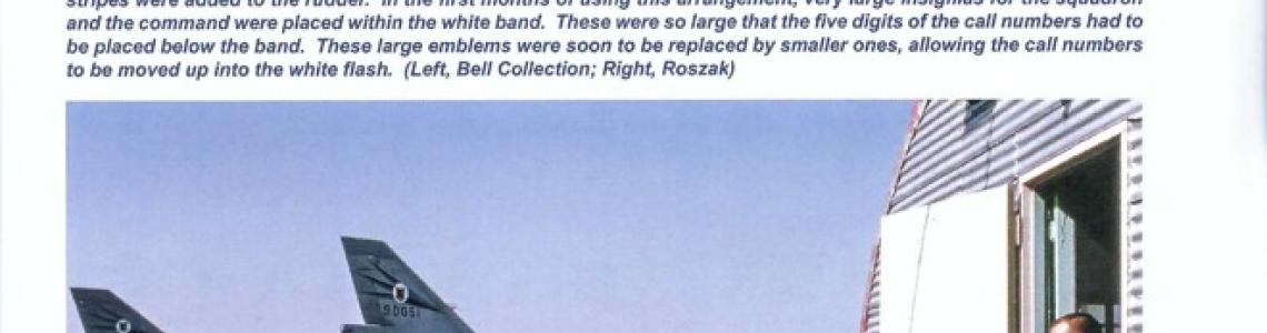 Colors and Markings V page 083