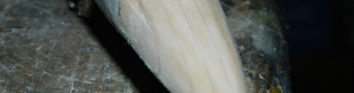 Basswood Radome Puttied