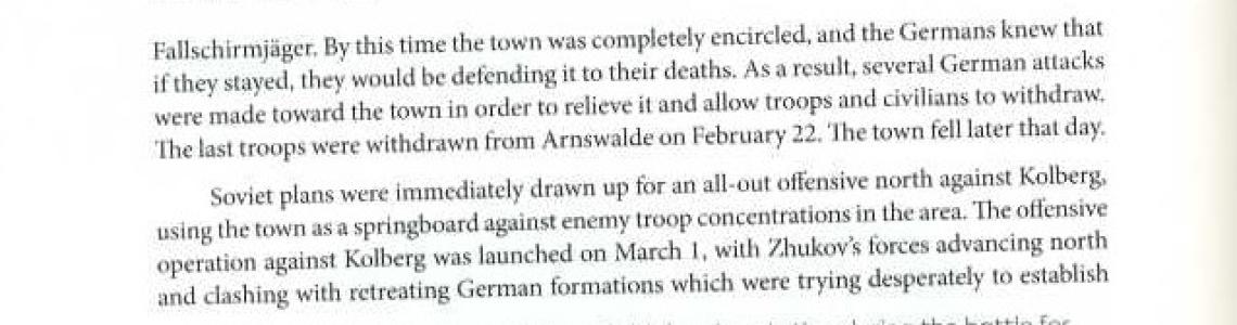 Polish Troops engaging German Troops