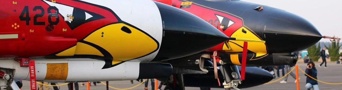 8 F-4EJ black and White