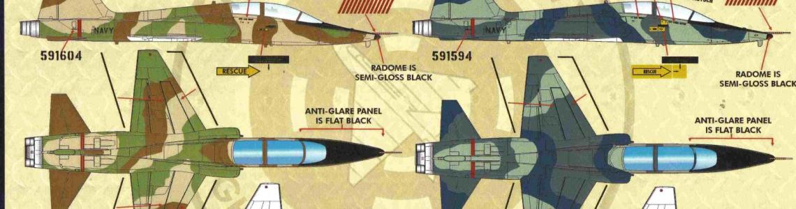 Markings for two aircraft: T-38A 59-1604, 1978 #12, (3 tone gray splinter scheme), and •	T-38A 59-1603, 1976 #13, (gray and blue scheme)