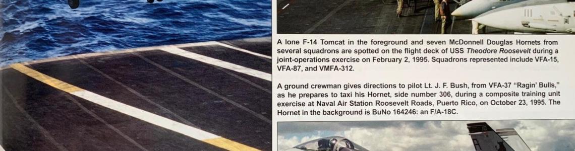 Navy Hornets